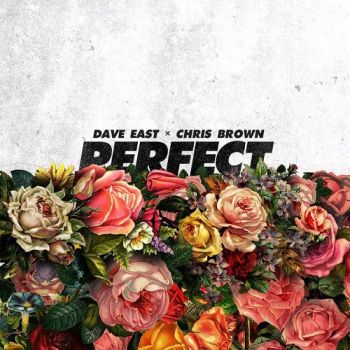 دانلود آهنگ جدید Chris Brown به نام Perfect